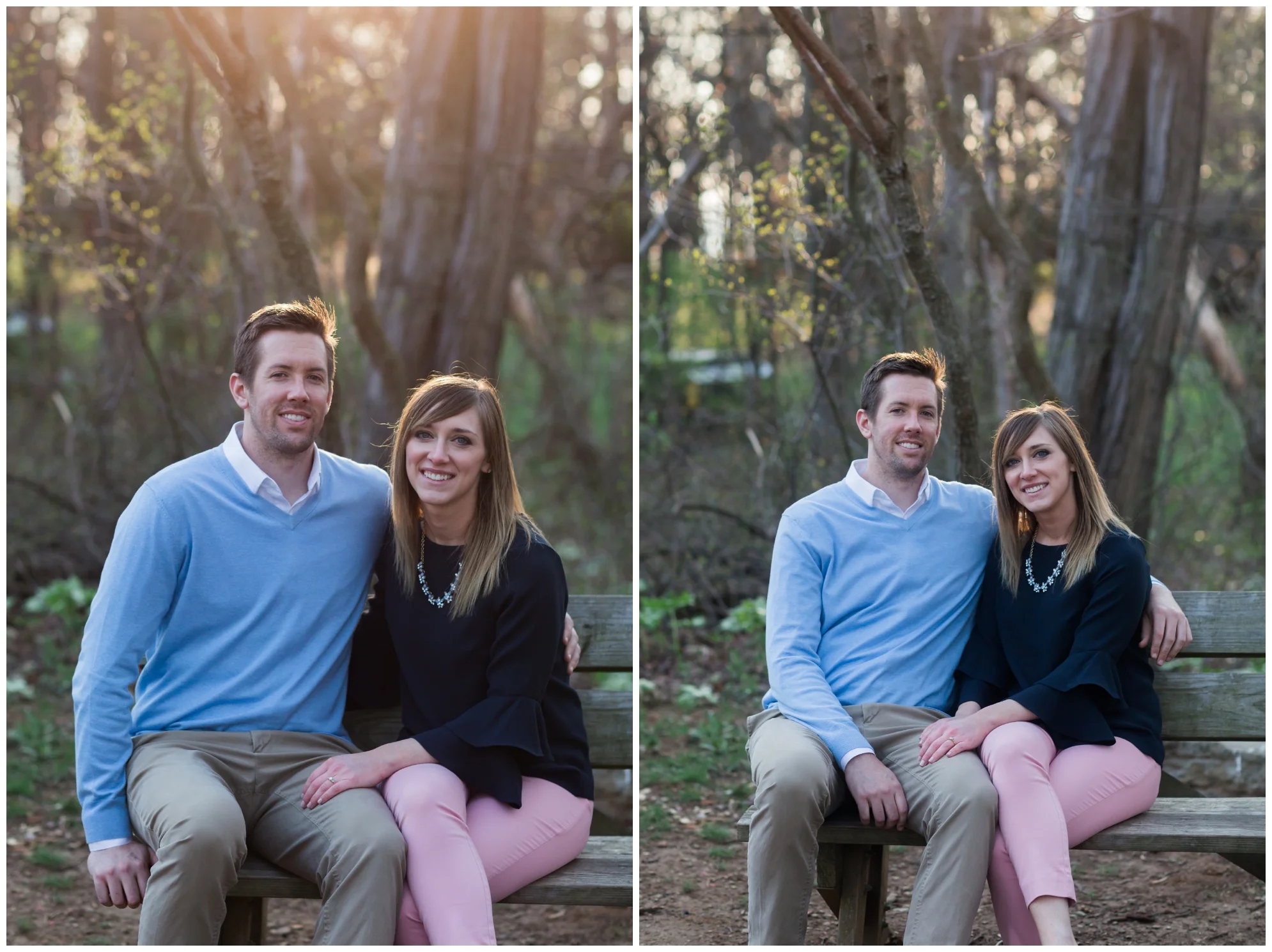 Spring engagement session at Bears Den at Bluemont, VA with two dogs