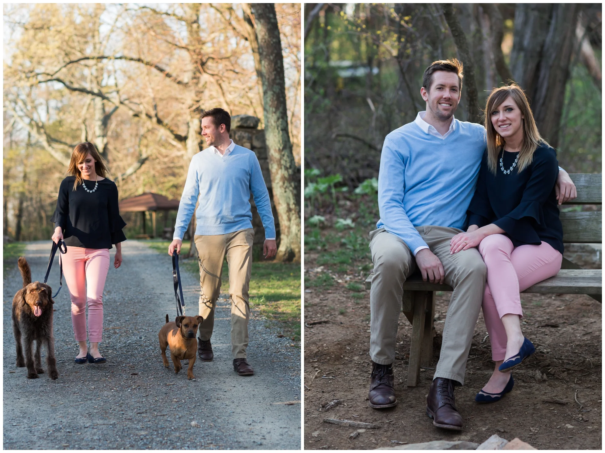 Spring engagement session at Bears Den at Bluemont, VA with two dogs