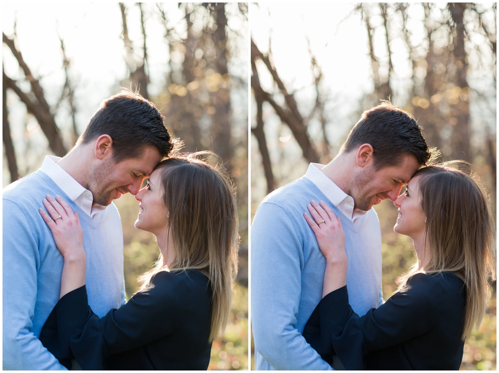 Spring engagement session at Bears Den at Bluemont, VA with two dogs