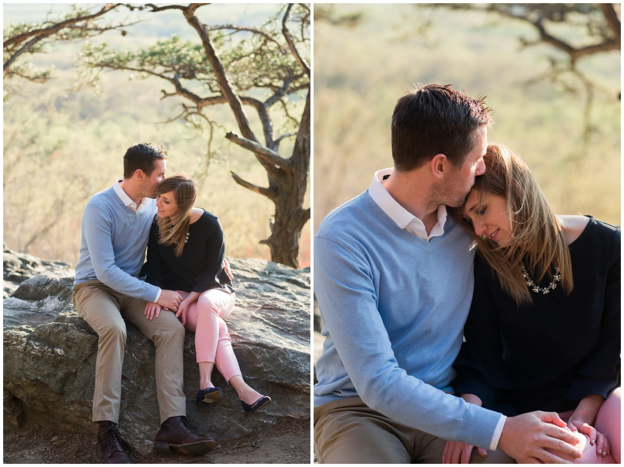 Spring engagement session at Bears Den at Bluemont, VA with two dogs