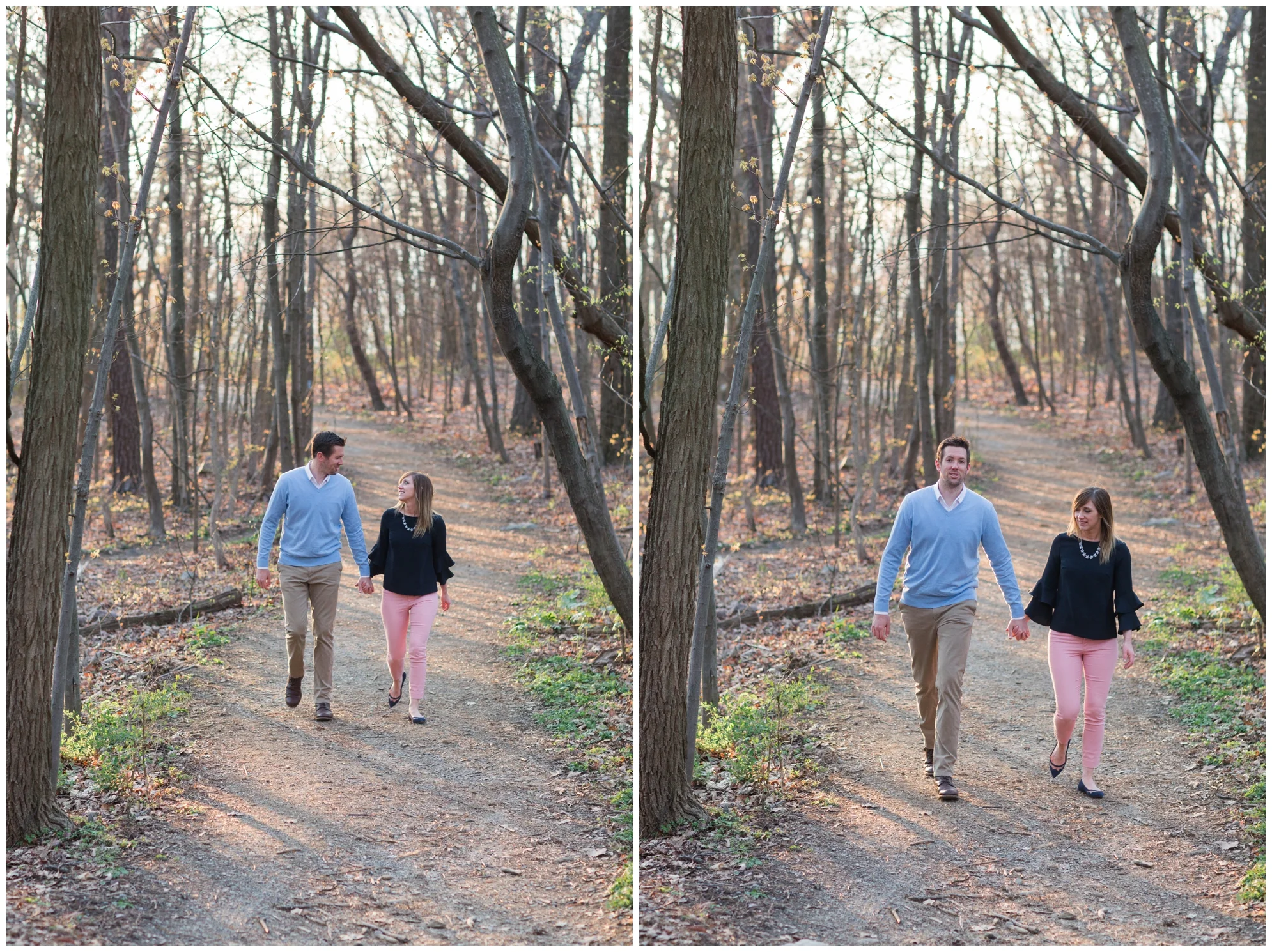 Spring engagement session at Bears Den at Bluemont, VA with two dogs