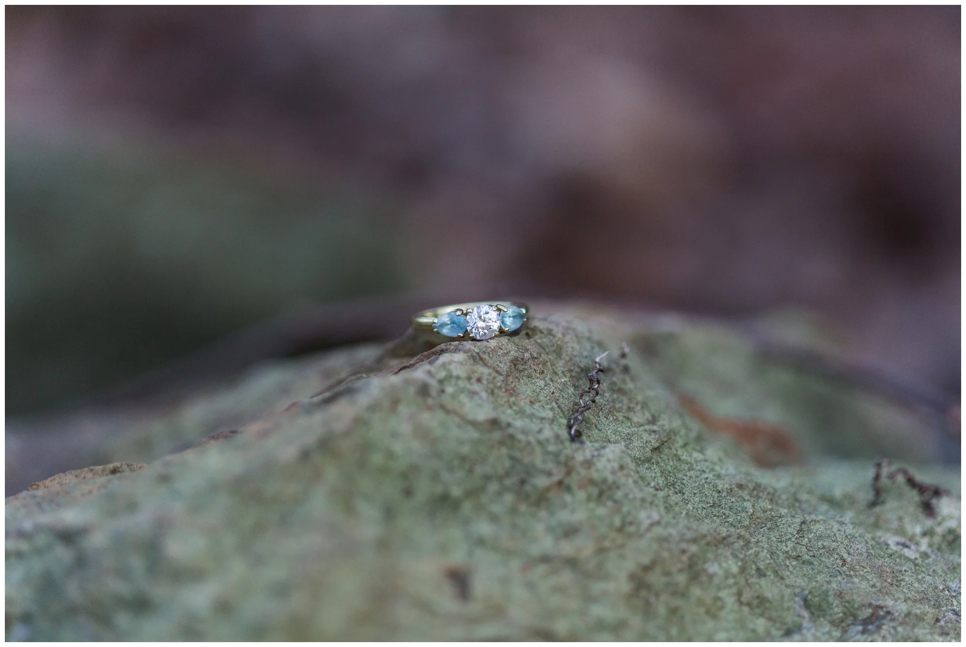 Spring engagement session at Bears Den at Bluemont, VA with two dogs