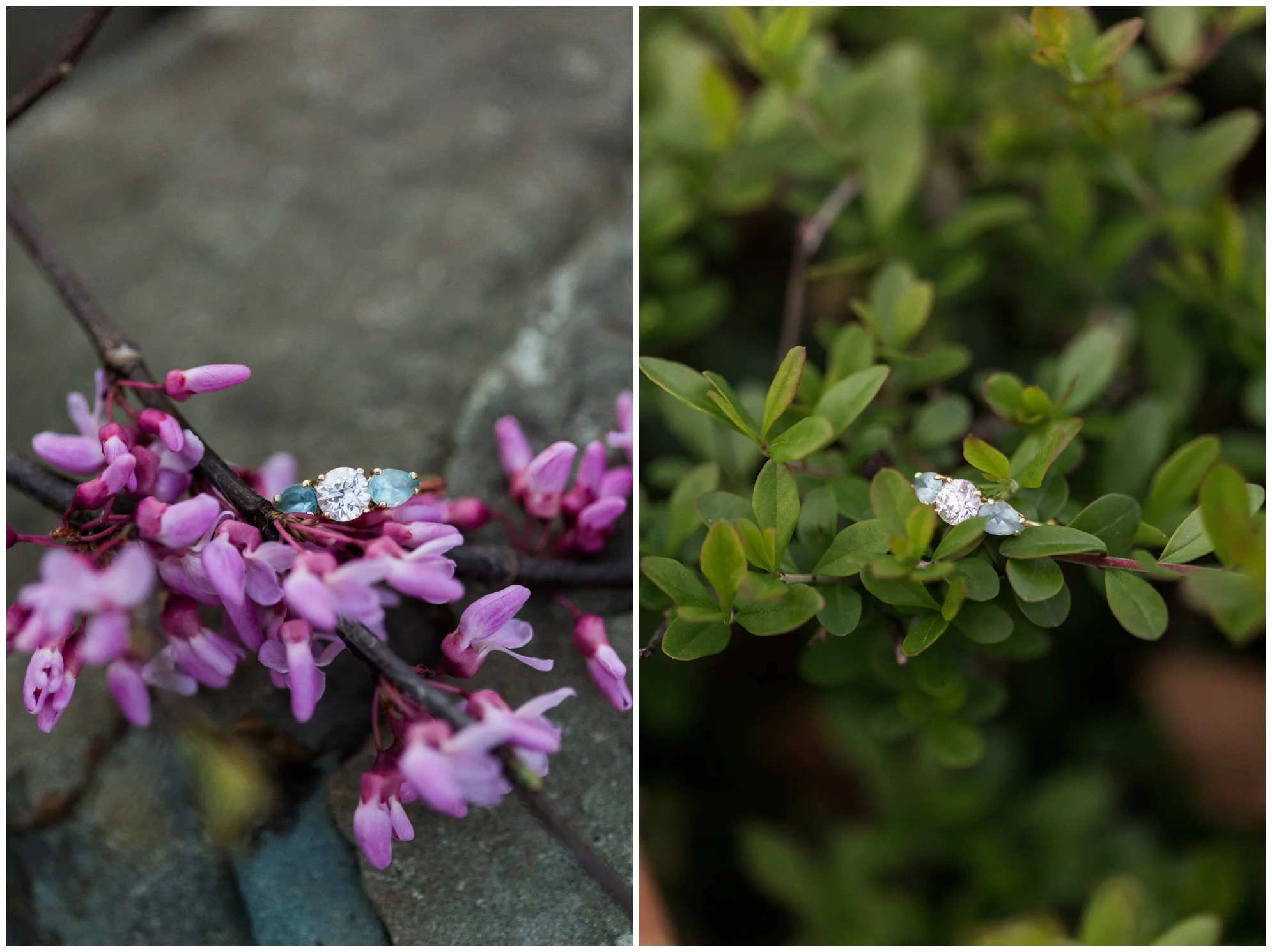 Spring engagement session at Bears Den at Bluemont, VA with two dogs