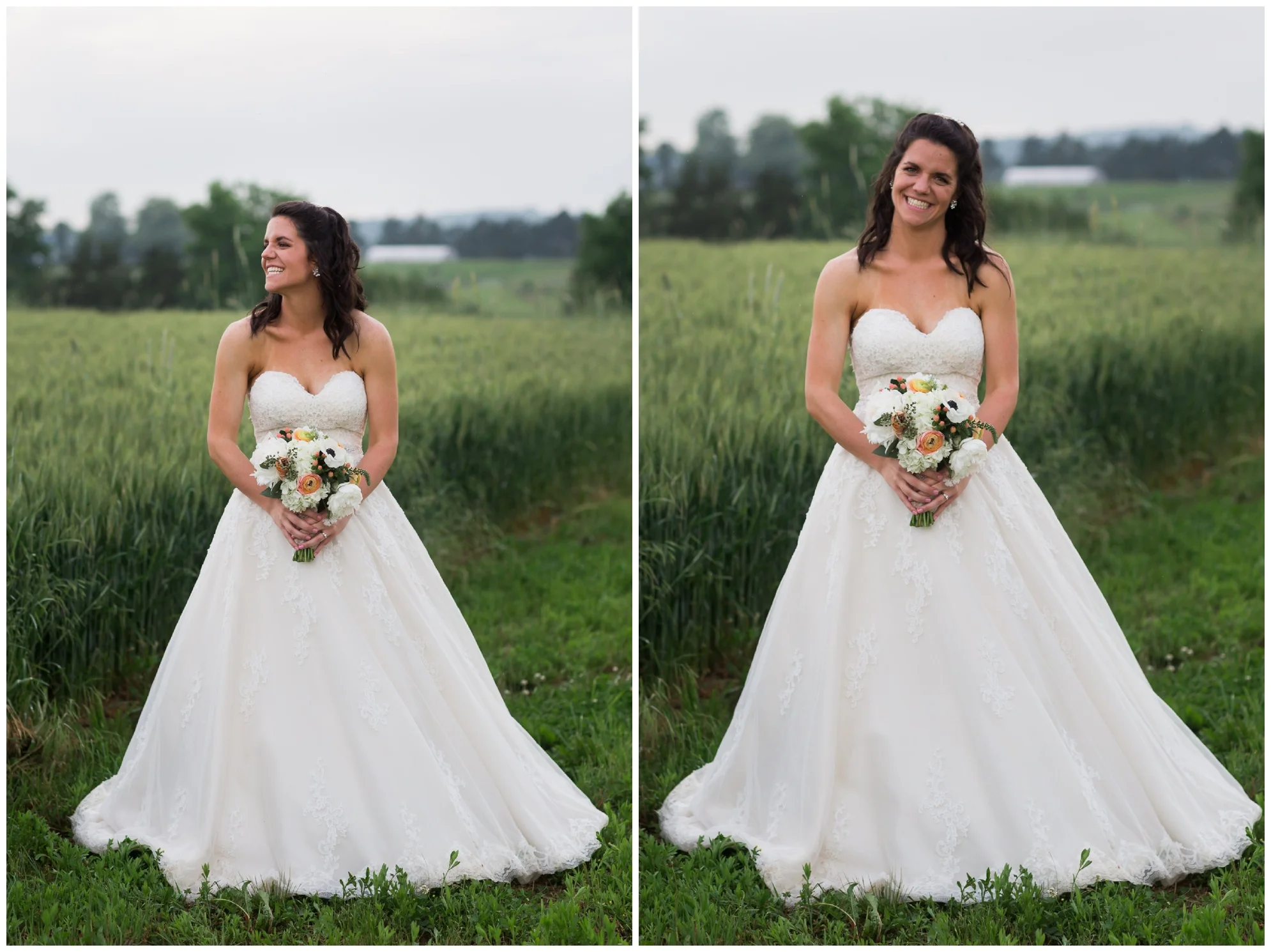 Mountaintop wedding in late spring in the Shenandoah Valley Blue Ridge Mountains.