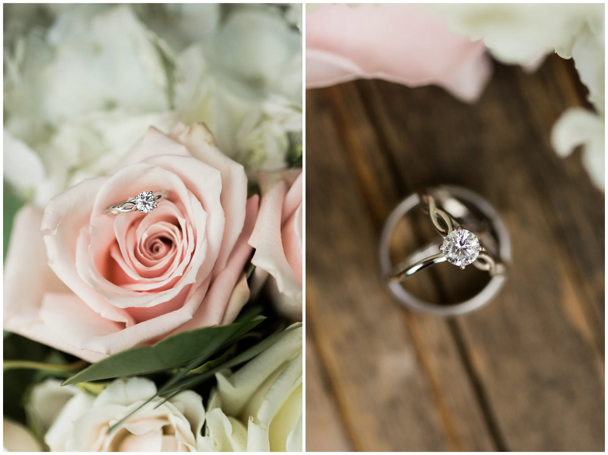 Gorgeous summer wedding at the stunning, waterside Jefferson Patterson Park featuring an outdoor ceremony, a dog guest of honor and sunset photos on the beach!