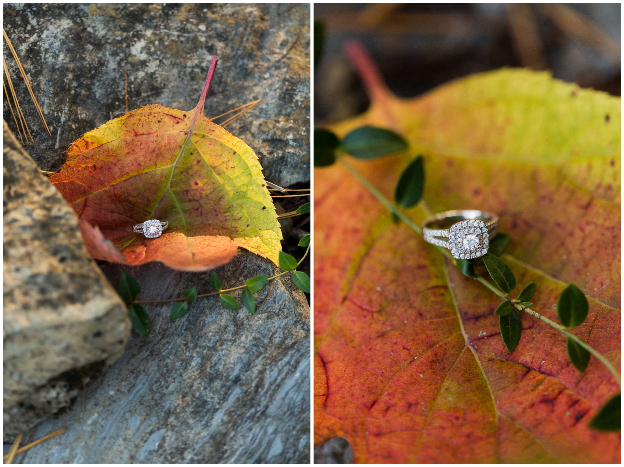 VMIWashingtonAndLeeProposal_0121.jpg