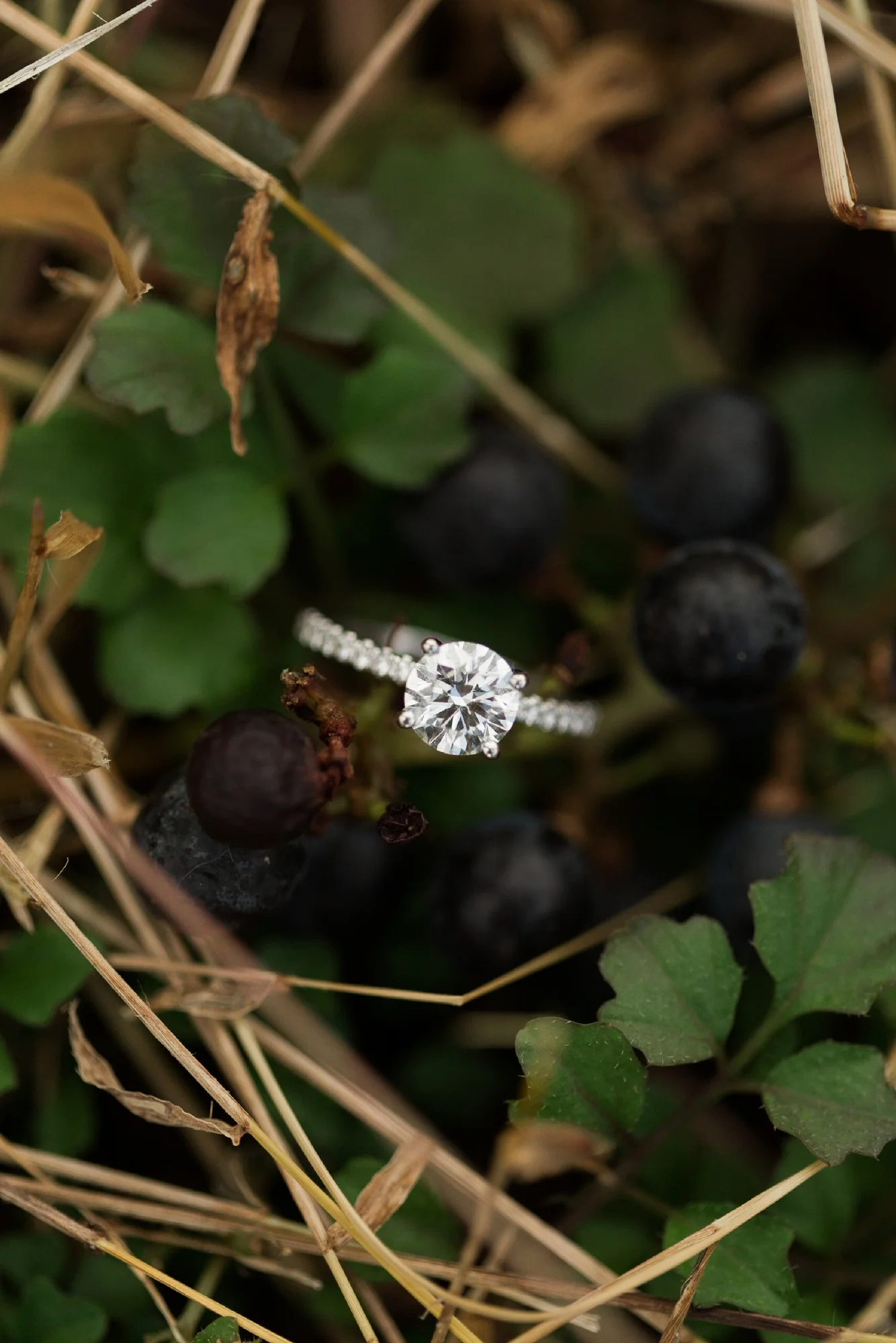 HannahJoyPhotography_3038.jpg