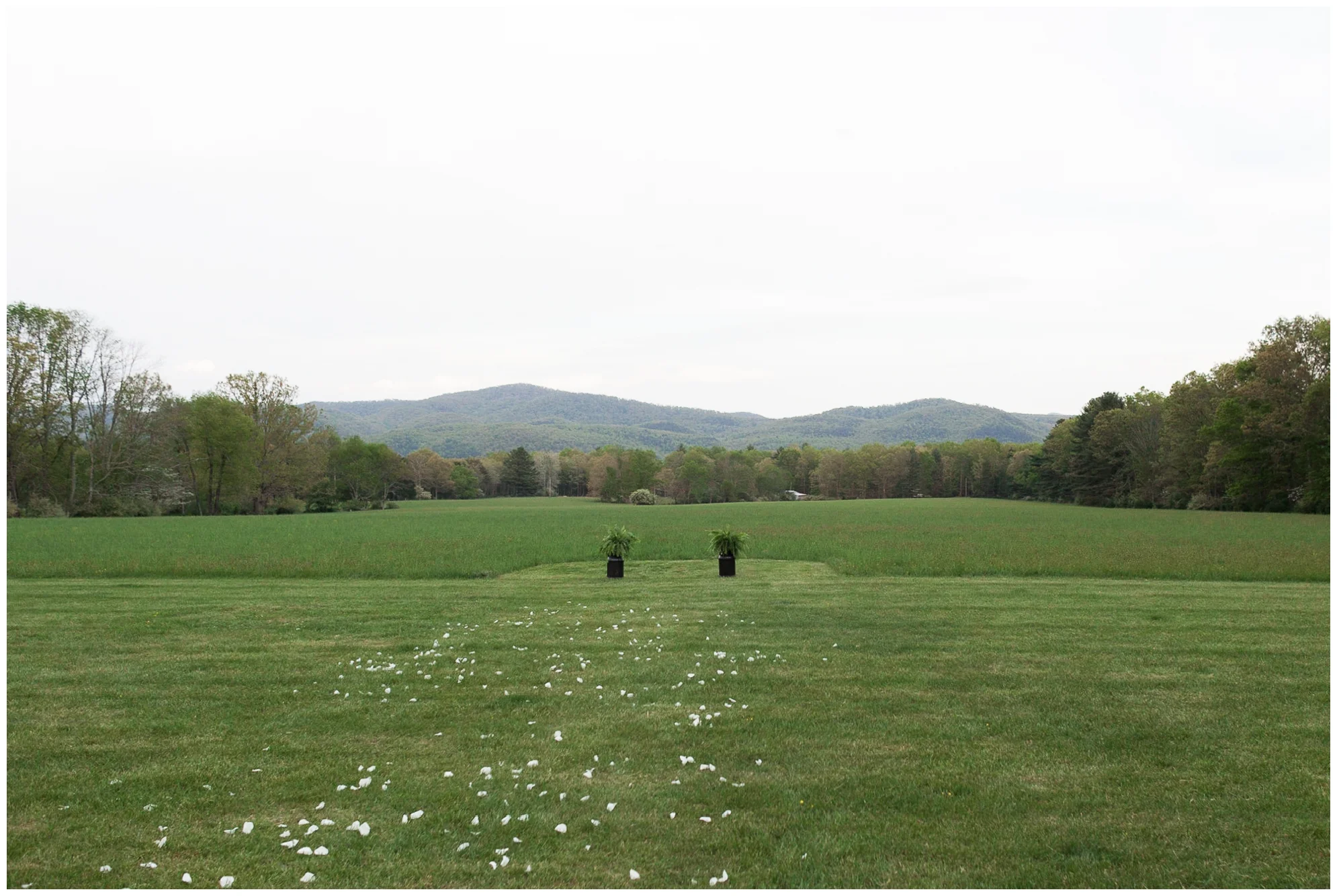 CharlottesvilleVAWeddingPhotographer_0104.jpg
