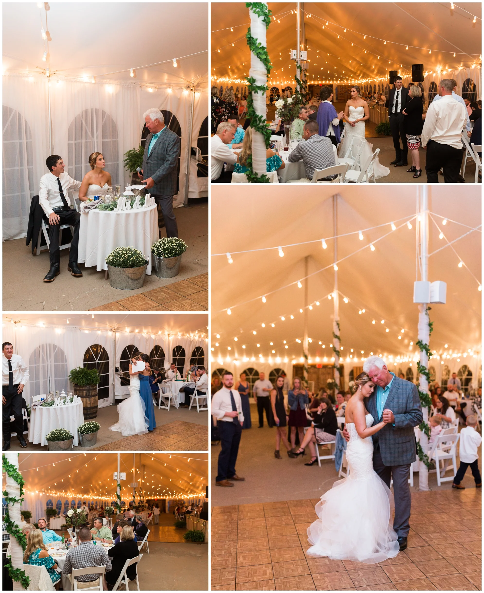 CharlottesvilleVAWeddingPhotographer_0199.jpg