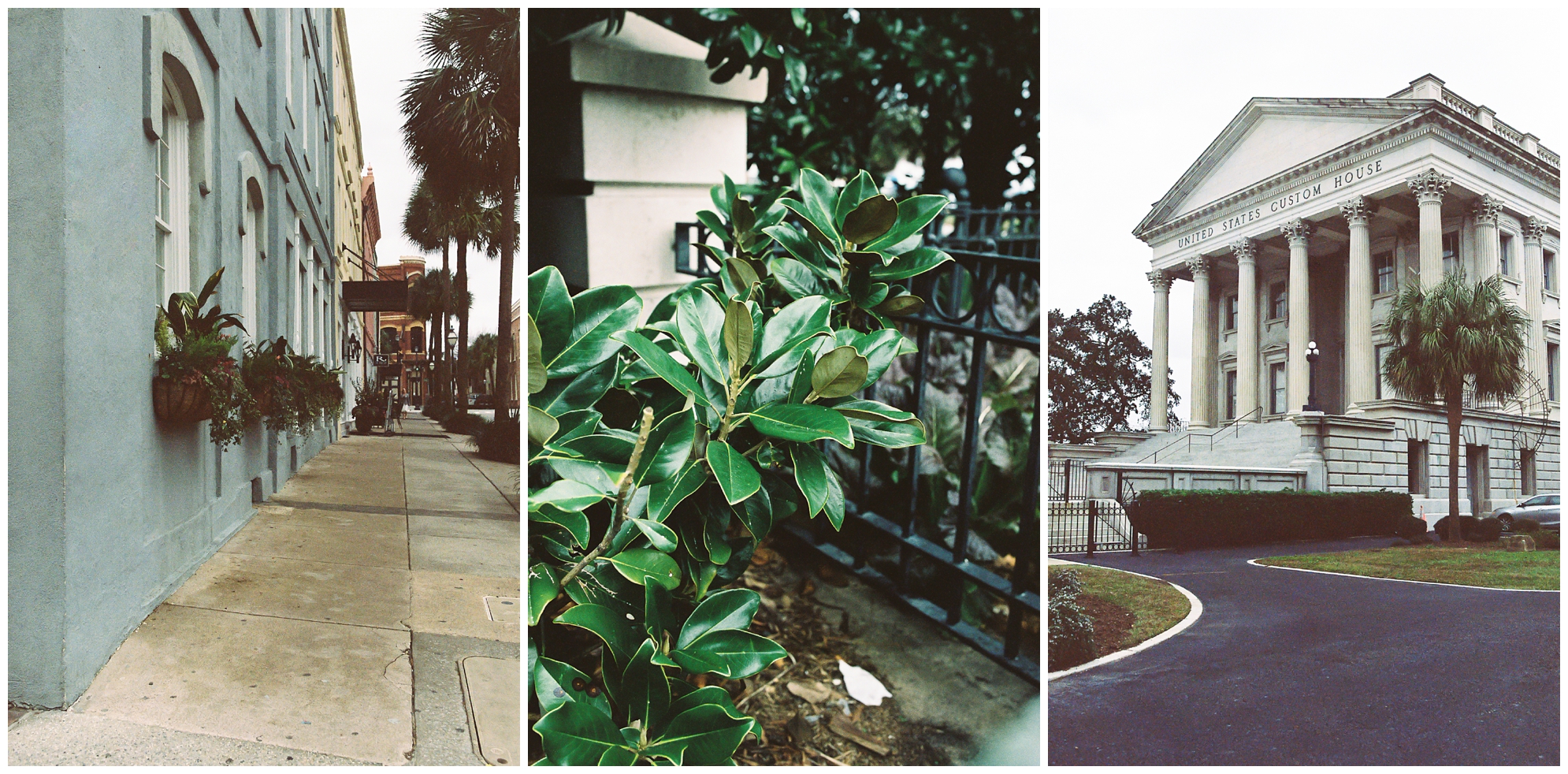 Charleston, SC on film photography from Charlottesville Virginia wedding photographer Hannah Joy Photography