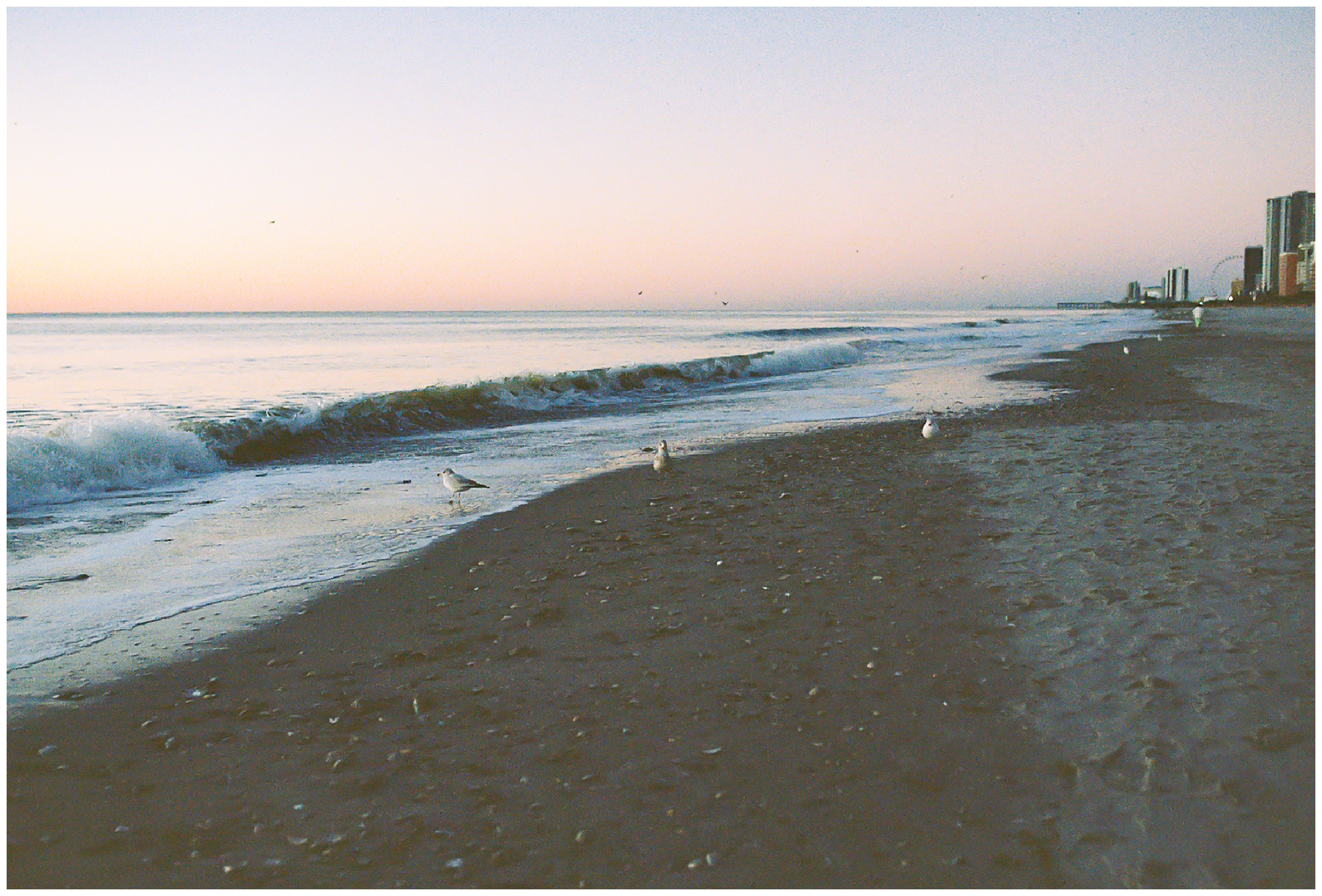 Myrtle Beach, SC on film photography from Charlottesville Virginia wedding photographer Hannah Joy Photography