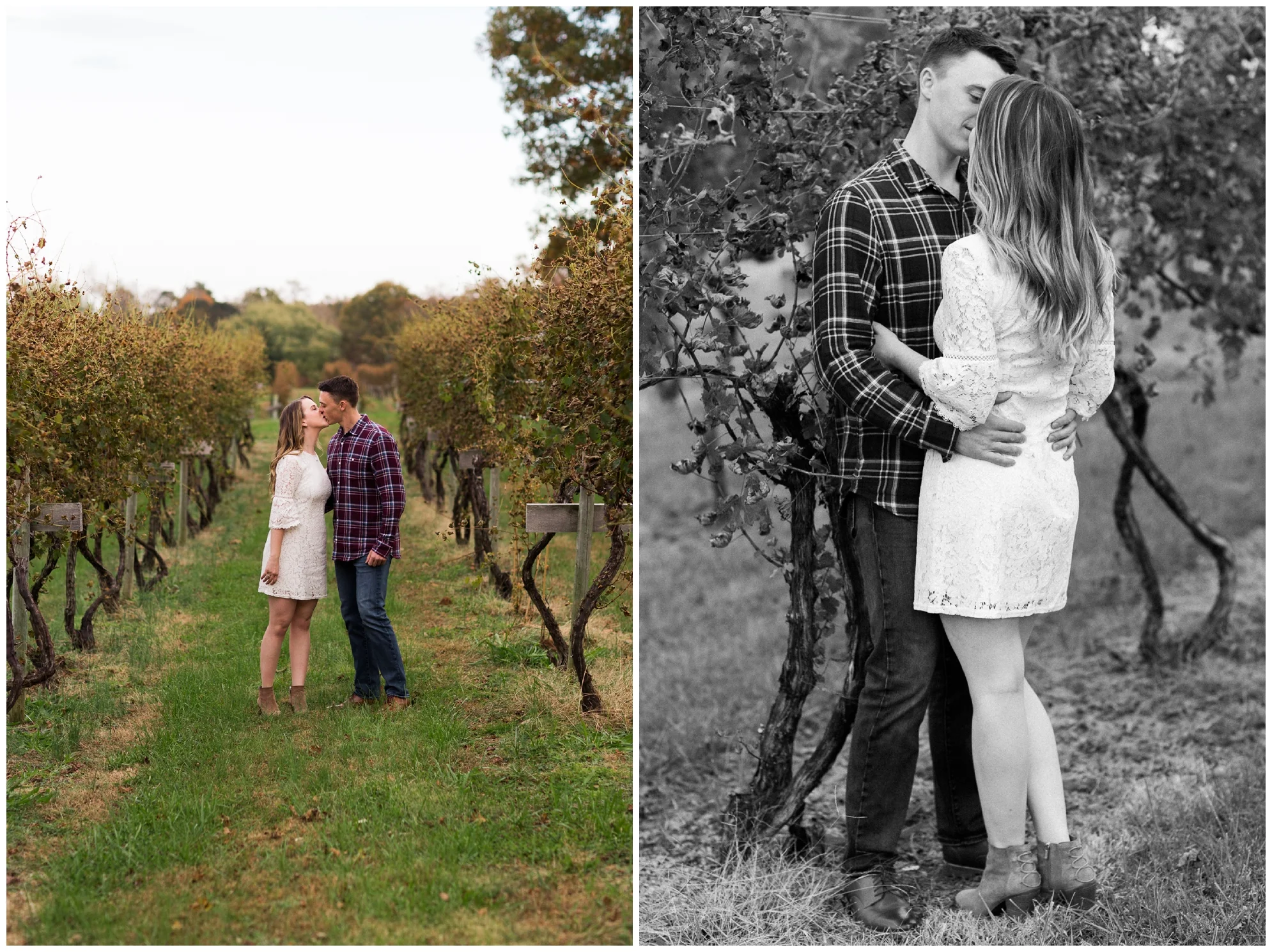 Fall engagement session at Wisdom Oak Winery near Charlottesville Virginia featuring reds, blues and a puppy!
