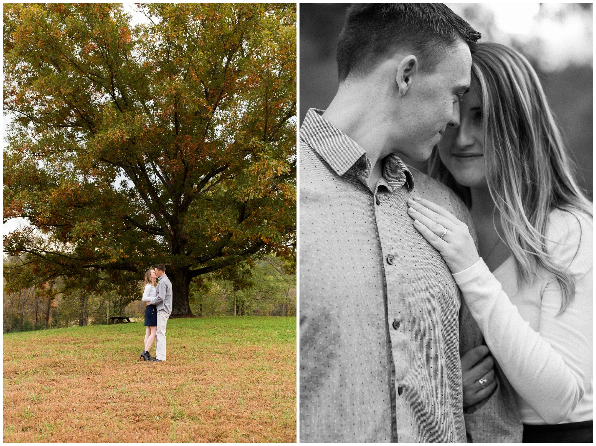 Fall engagement session at Wisdom Oak Winery near Charlottesville Virginia featuring reds, blues and a puppy!