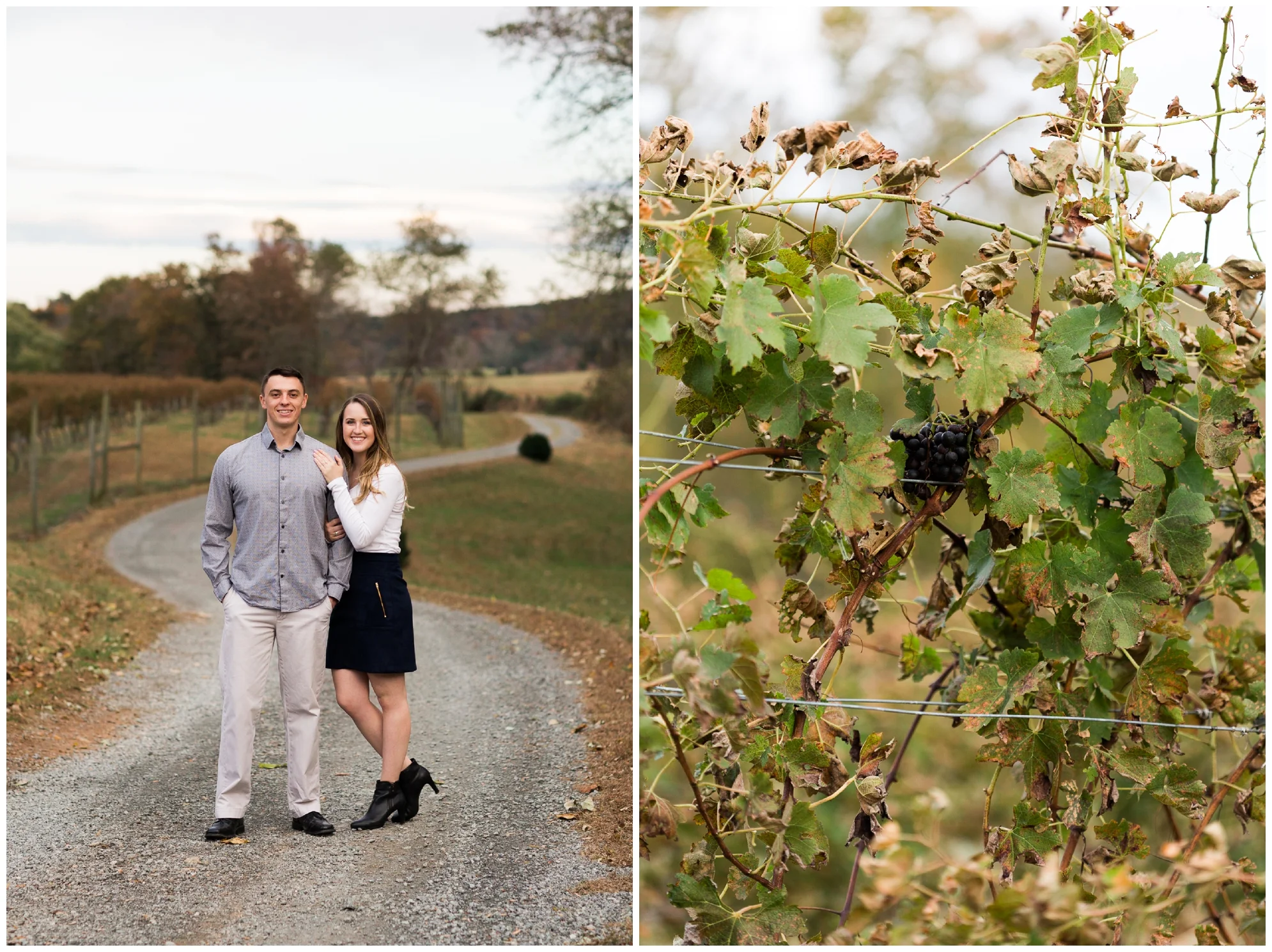 Fall engagement session at Wisdom Oak Winery near Charlottesville Virginia featuring reds, blues and a puppy!