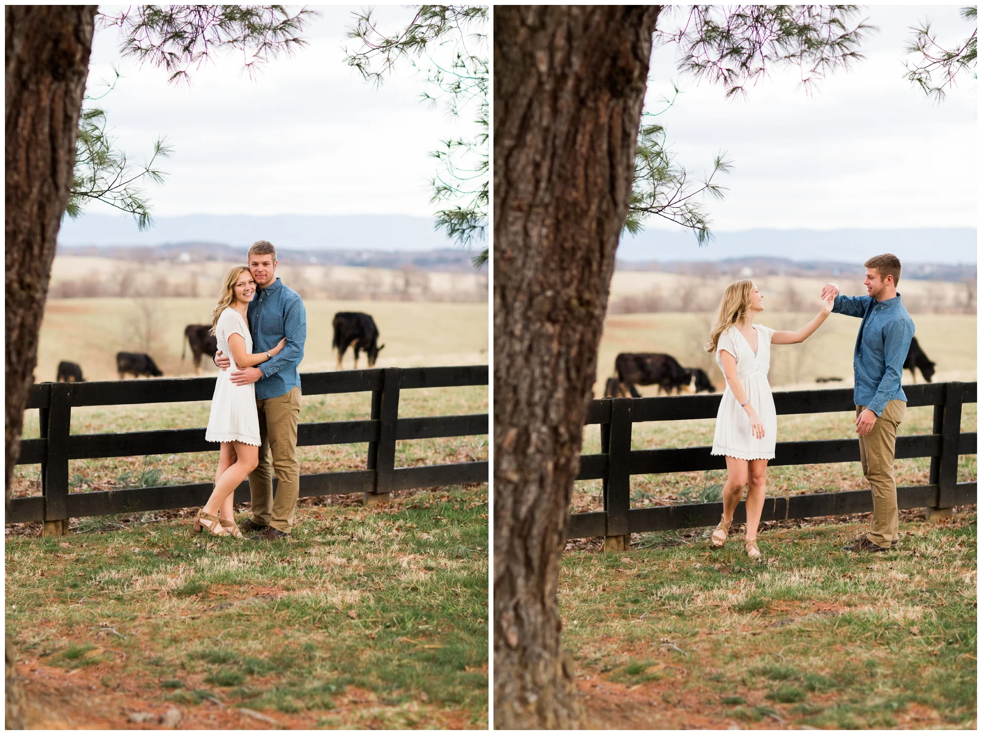 Winter engagement photo session at Gaie Lea wedding venue in Staunton, VA featuring mountain backdrops, golden hour light, a pond with a pier and cows!