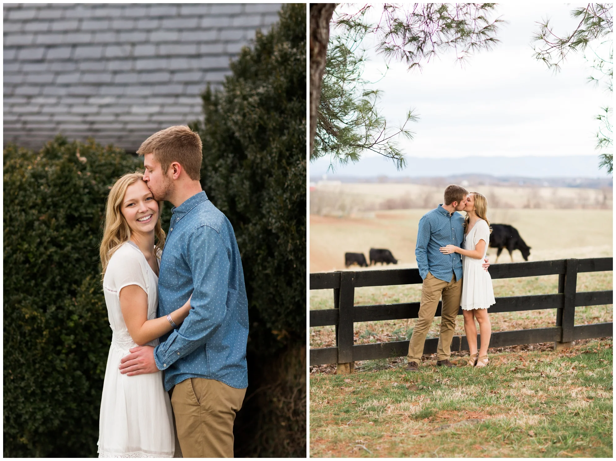 Winter engagement photo session at Gaie Lea wedding venue in Staunton, VA featuring mountain backdrops, golden hour light, a pond with a pier and cows!