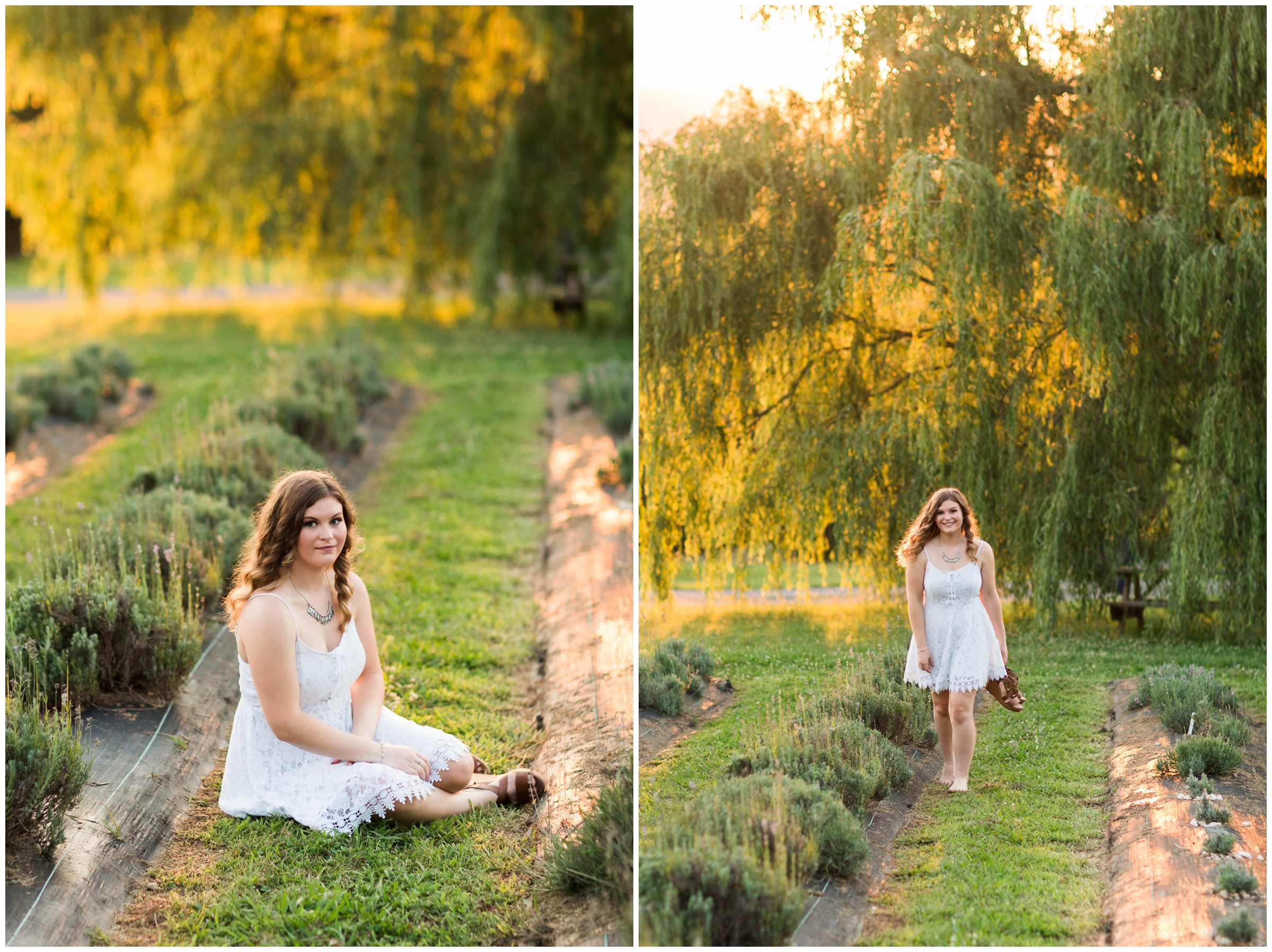 Fort Defiance High School Class of 2020 Senior Session at Tantivy Lavender Farm in Augusta County, Blue Ridge Mountains of Virginia