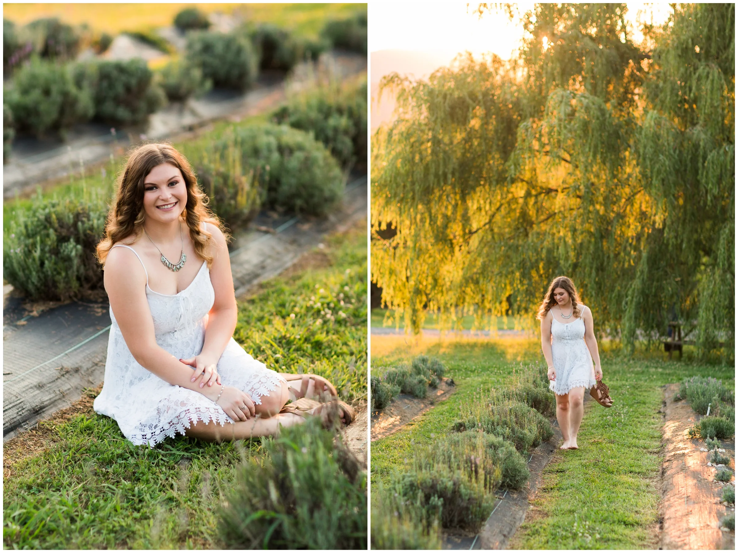 Fort Defiance High School Class of 2020 Senior Session at Tantivy Lavender Farm in Augusta County, Blue Ridge Mountains of Virginia