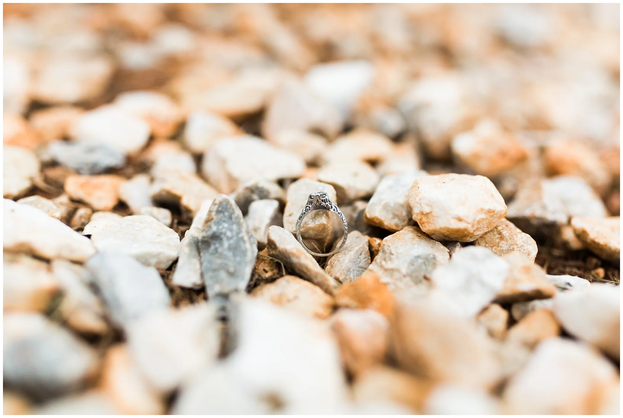 Summer engagement session at James Monroe’s Highland with Virginia wedding photographer Hannah Joy