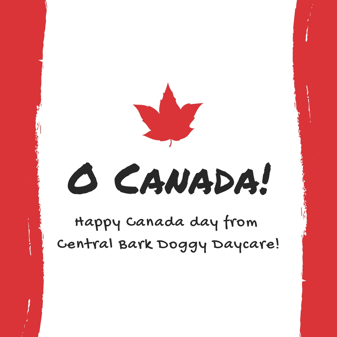 Happy Canada Day!
