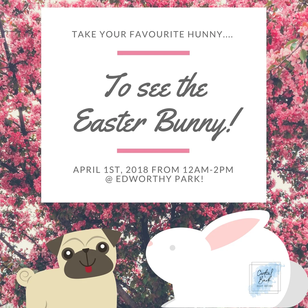 Hip Hop-a-Hippity Hop Hop.... Easter!