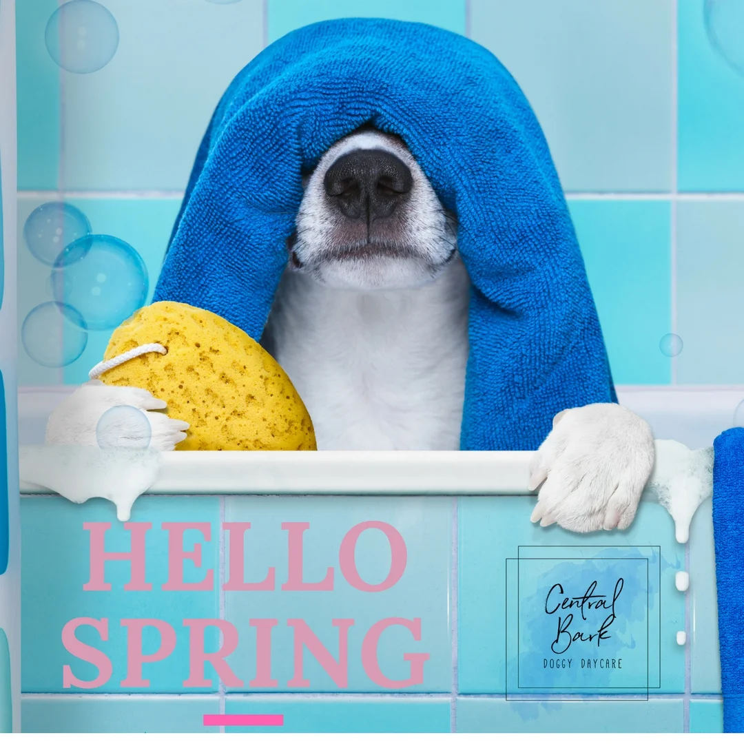April Showers brings.....