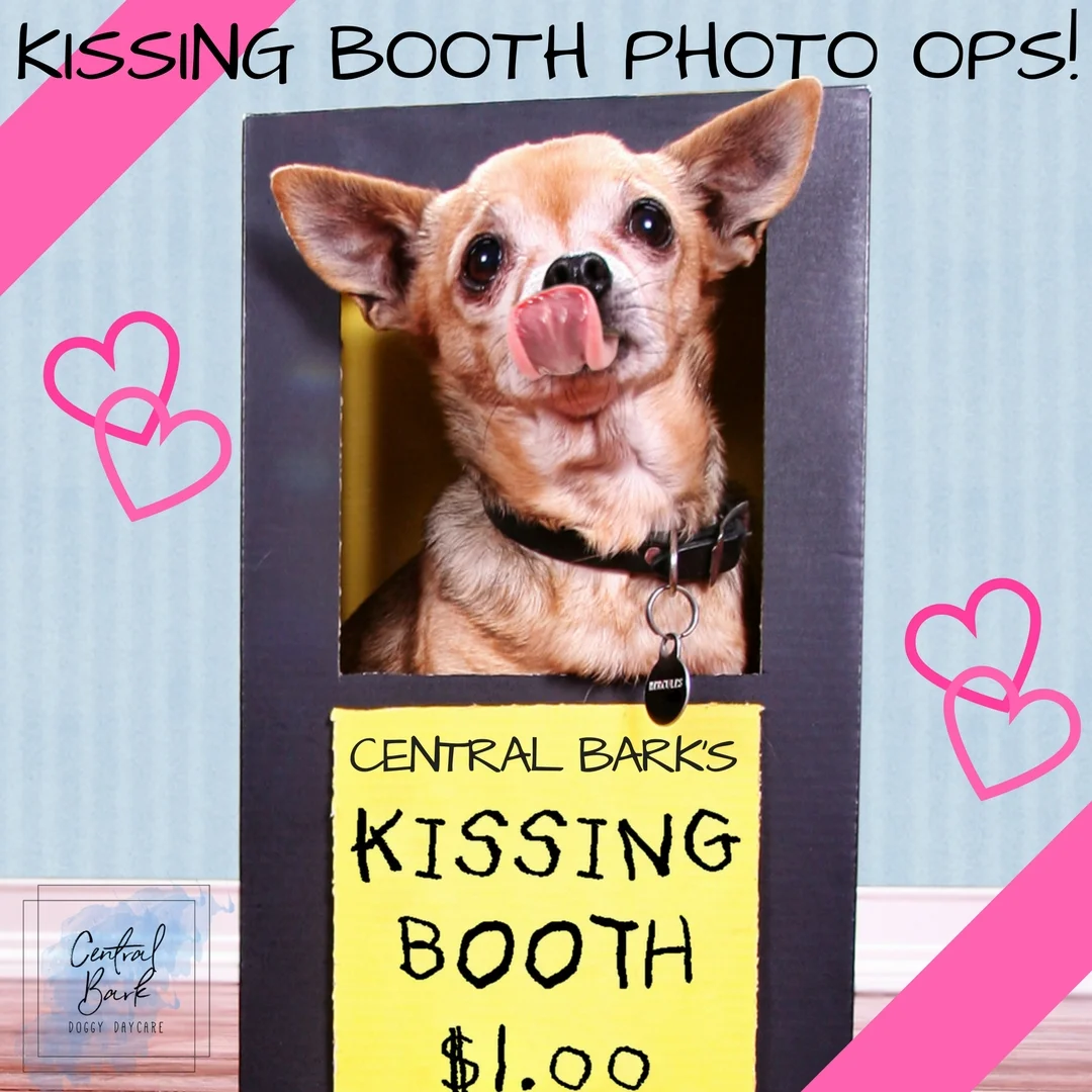 KISSING BOOTH FOR Valentines day!