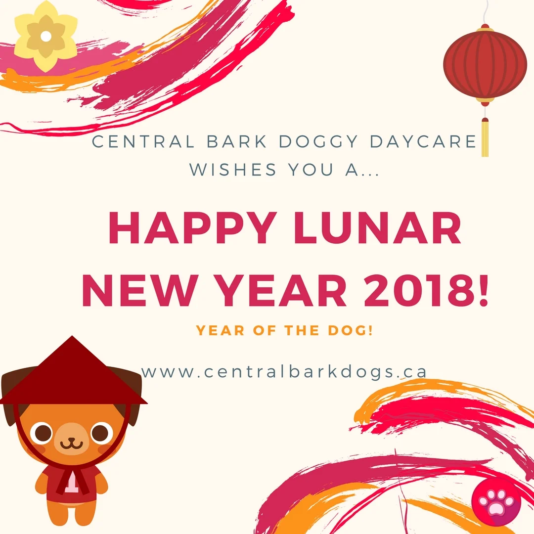 2018 is the Year of the Dog!