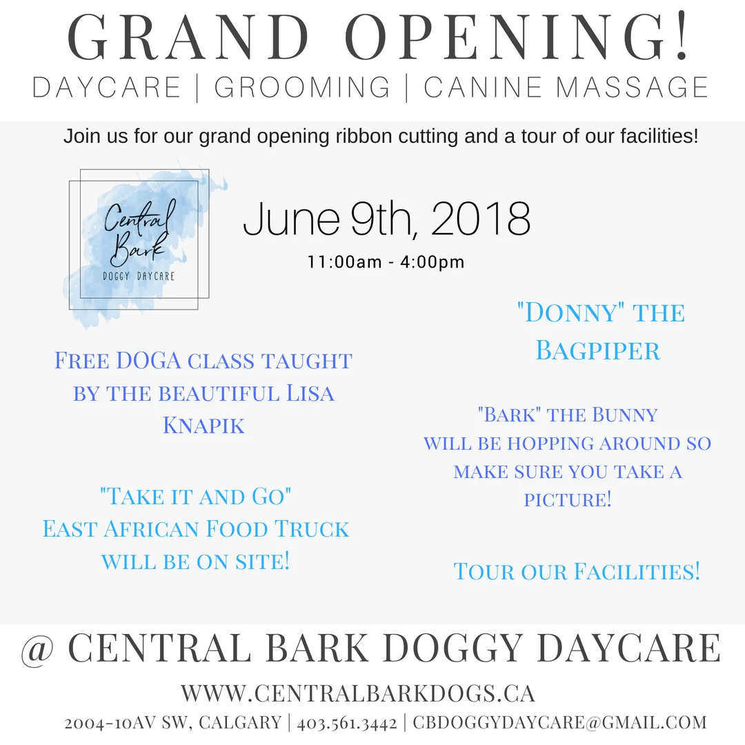Grand opening.jpg