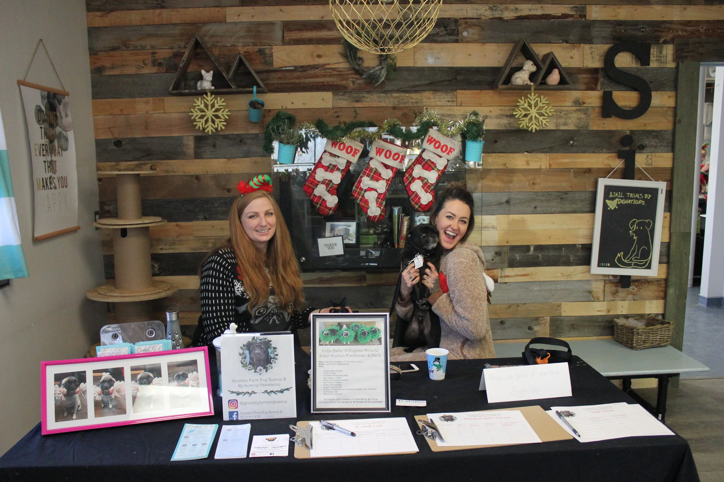 Grumble Farm Pug Rescue - Jingle Balls 2018!