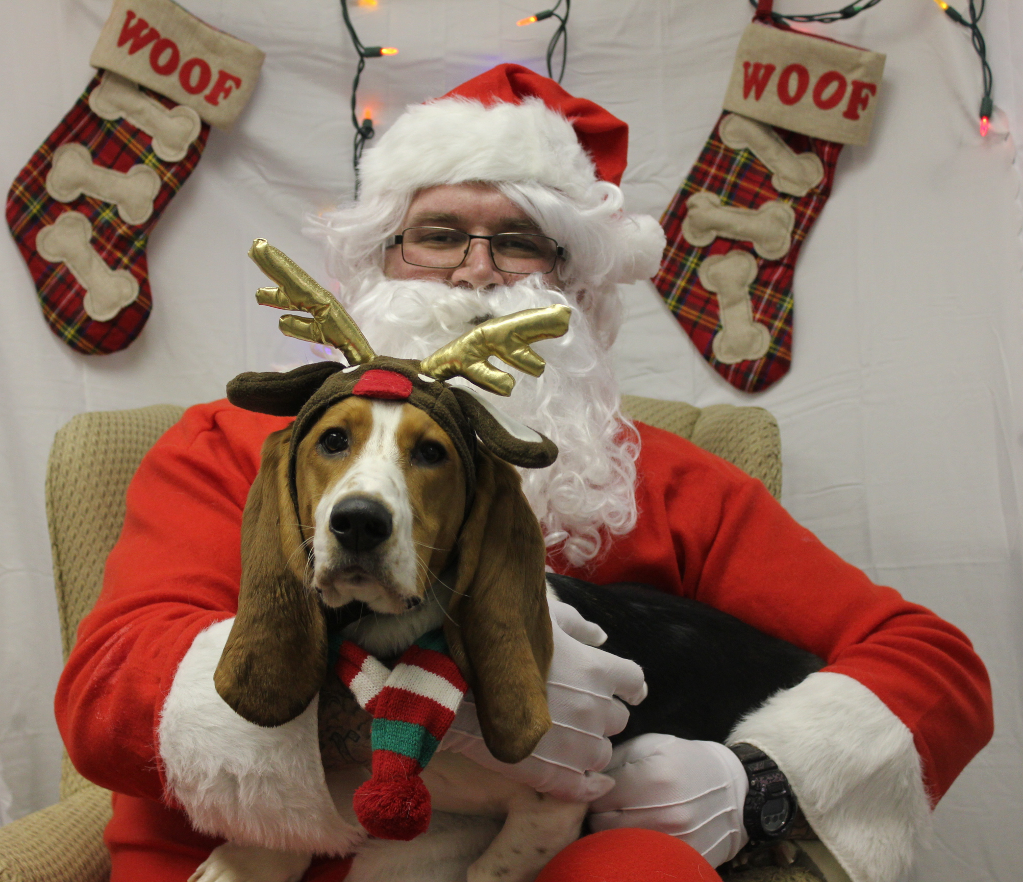 Christmas Dog Meet-up 2018!