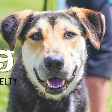 DOG JOG 2019 Calgary Humane Society!