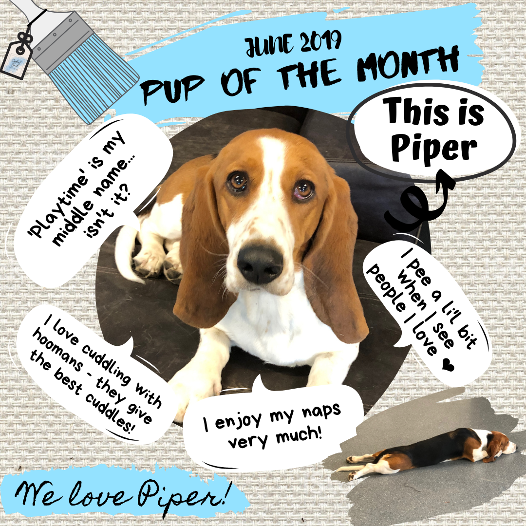 Piper June 2019.png