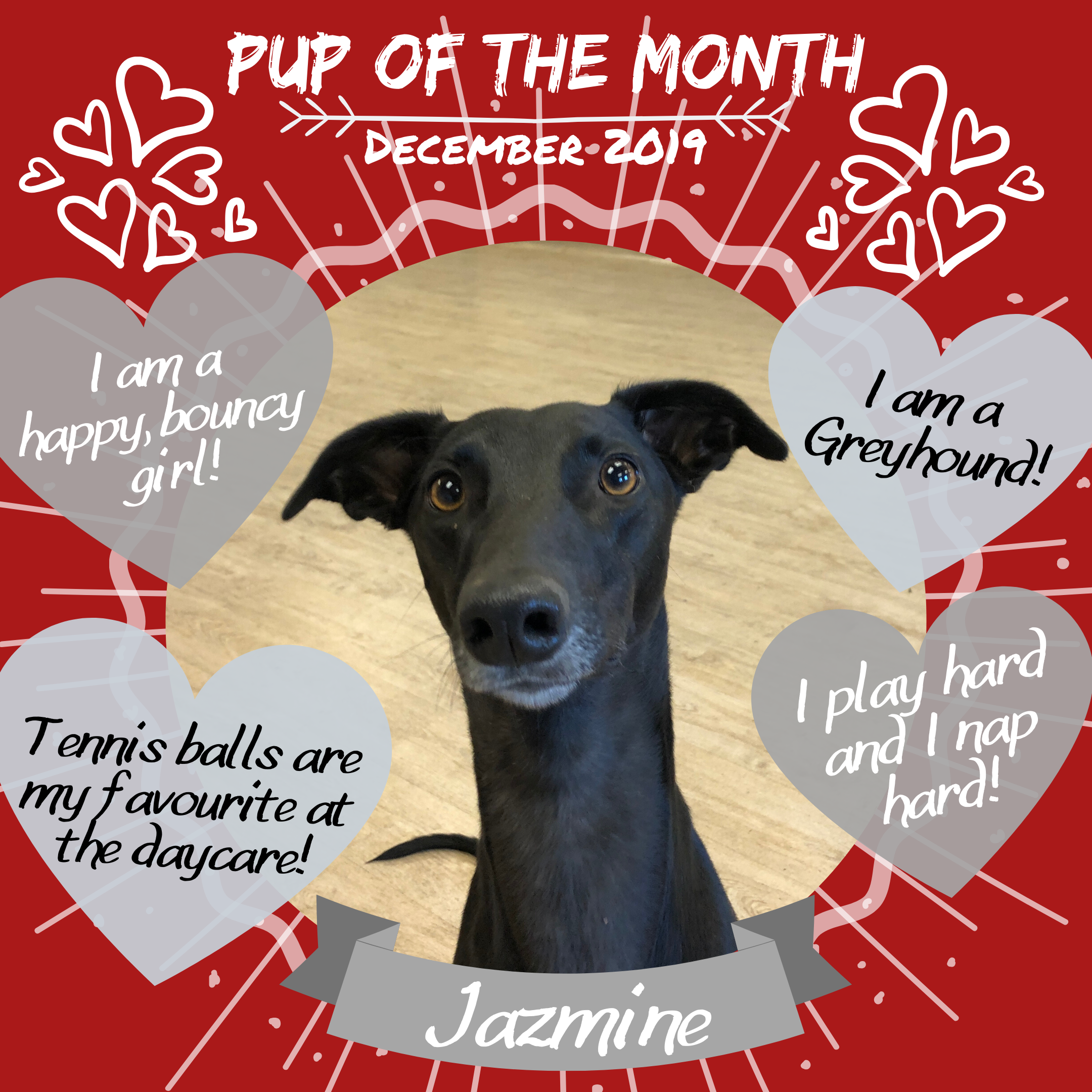 Pup Of The Month Dec 2019 (2).png