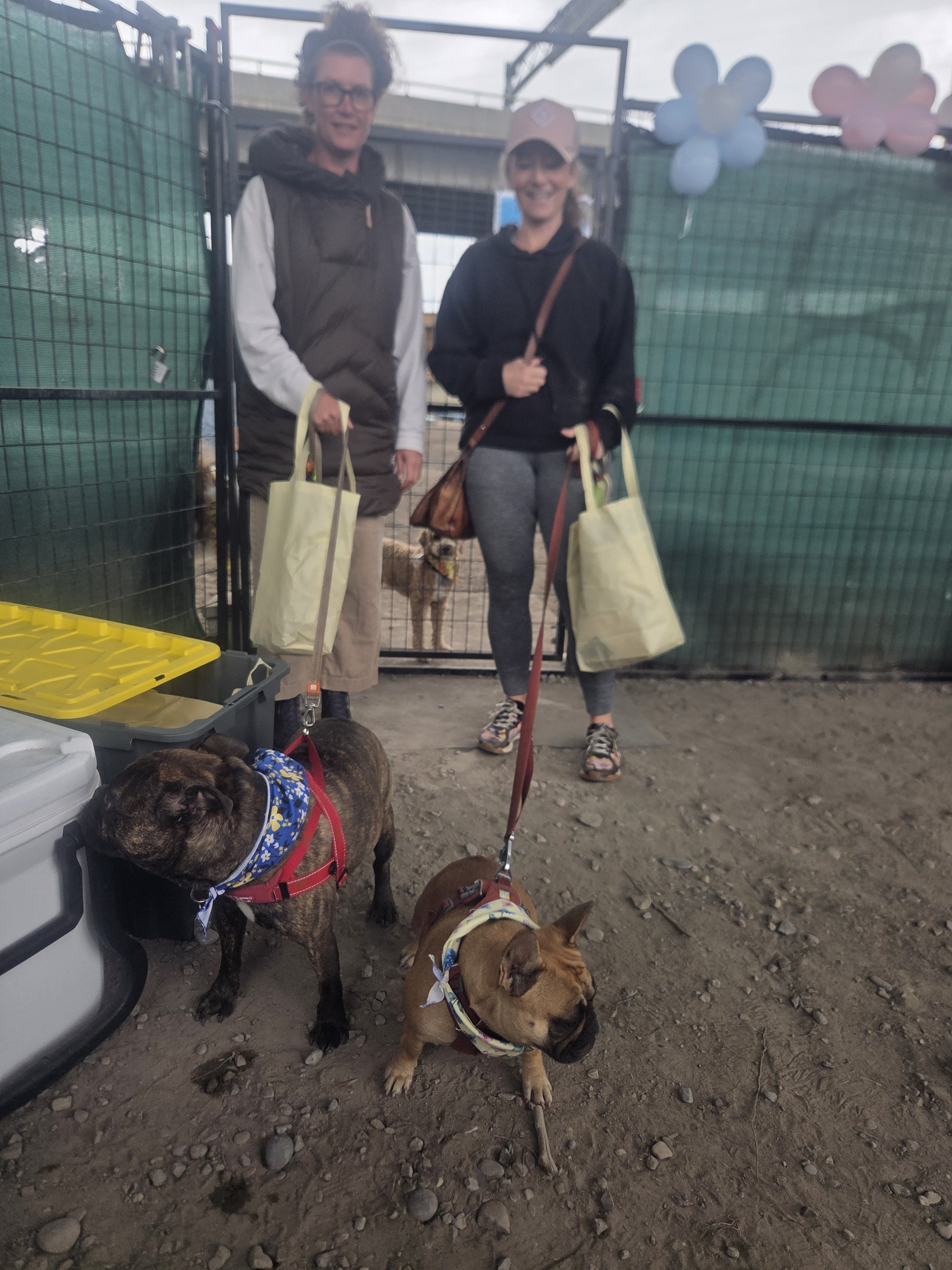 20260912_135026(0).jpg