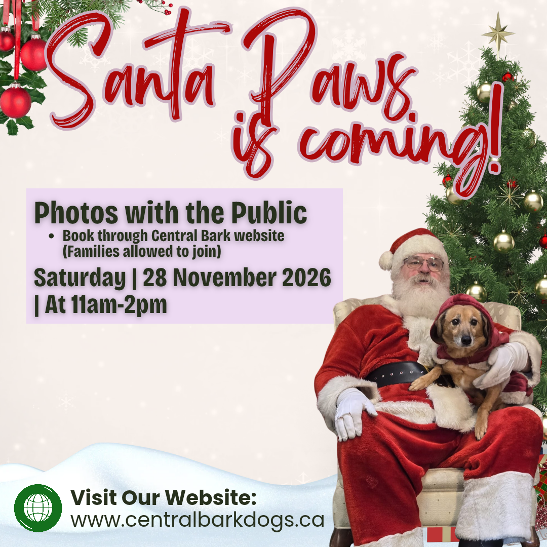 it's time to book your (4).png