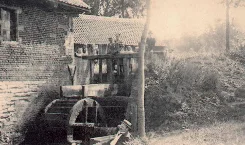 molenaar1.jpg