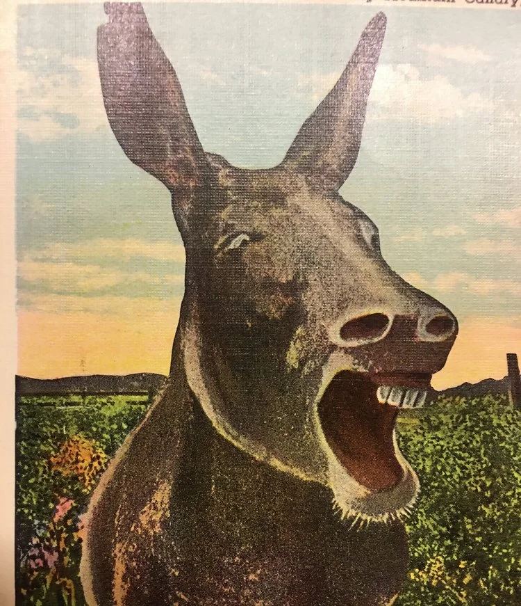 Crowds, by Mitchell Grabois 