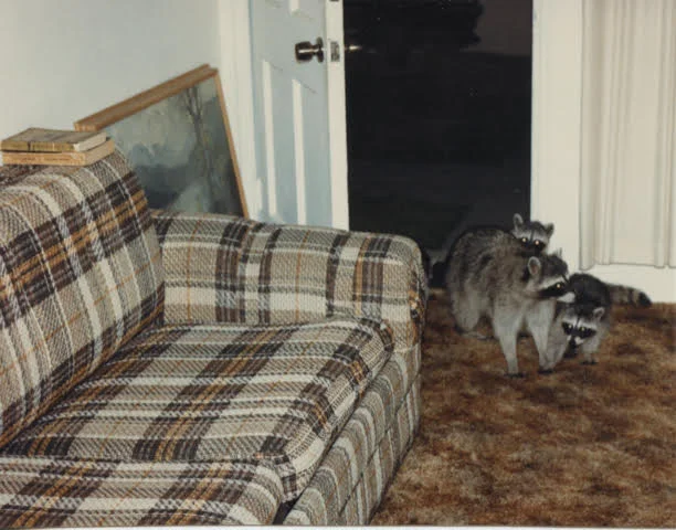 Love Poem &amp; Mean Poem, by Enoch A. Rios