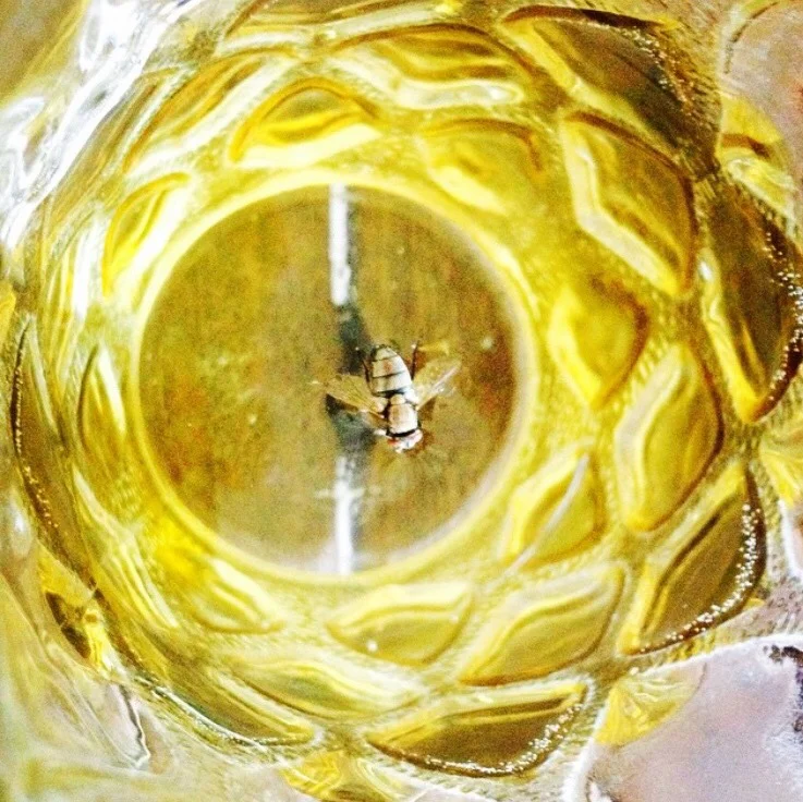 i was the monkey, Ursula by Sad Girl no last name