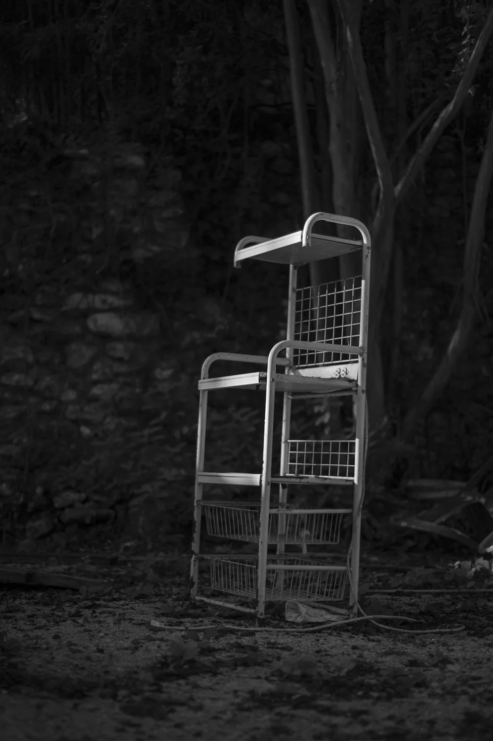 The Mutability of Identity, by Reba J