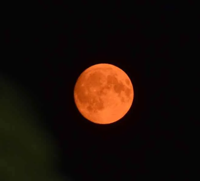 'Take Leave' and 'Naming the Night Lights,' by Ann Randlette