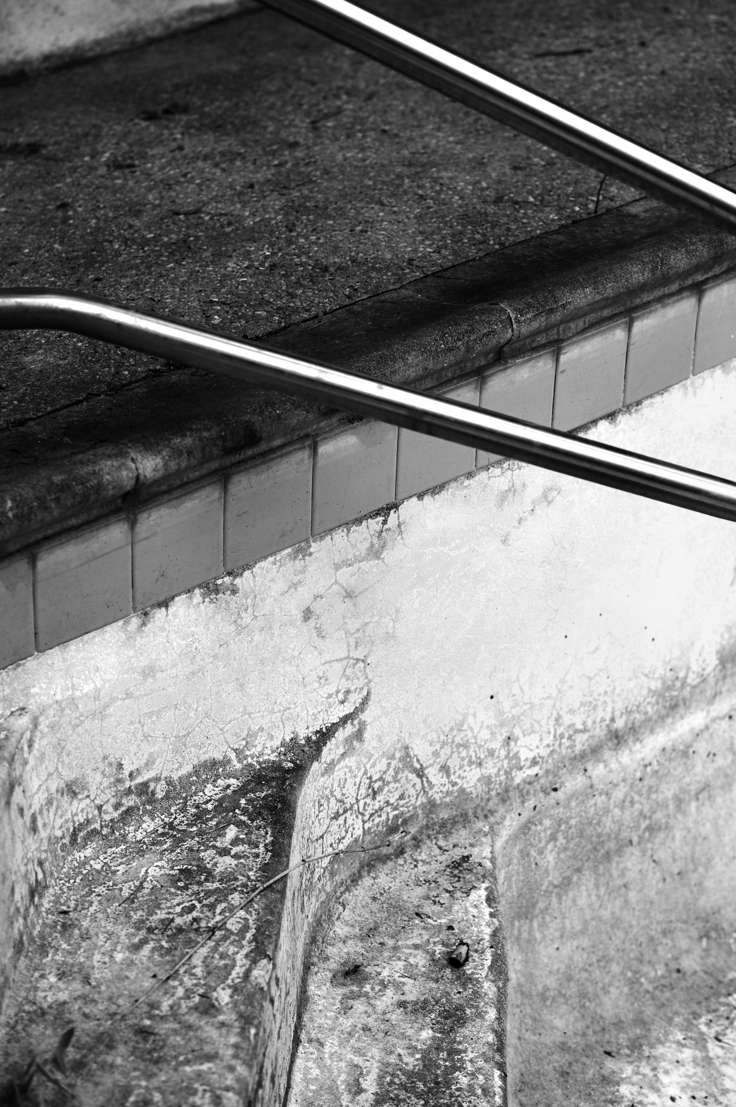 5a, The Mutability of Identity, by Reba J