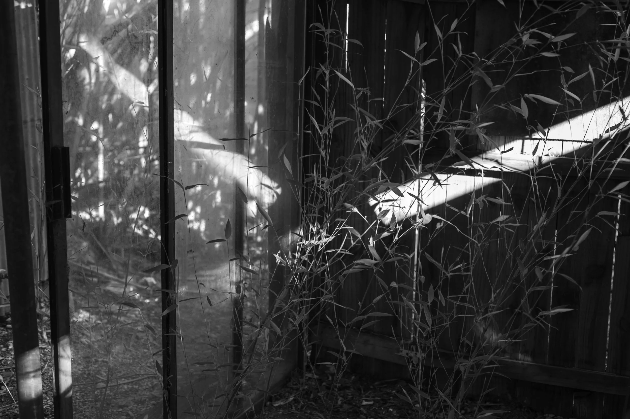 5b, The Mutability of Identity, by Reba J