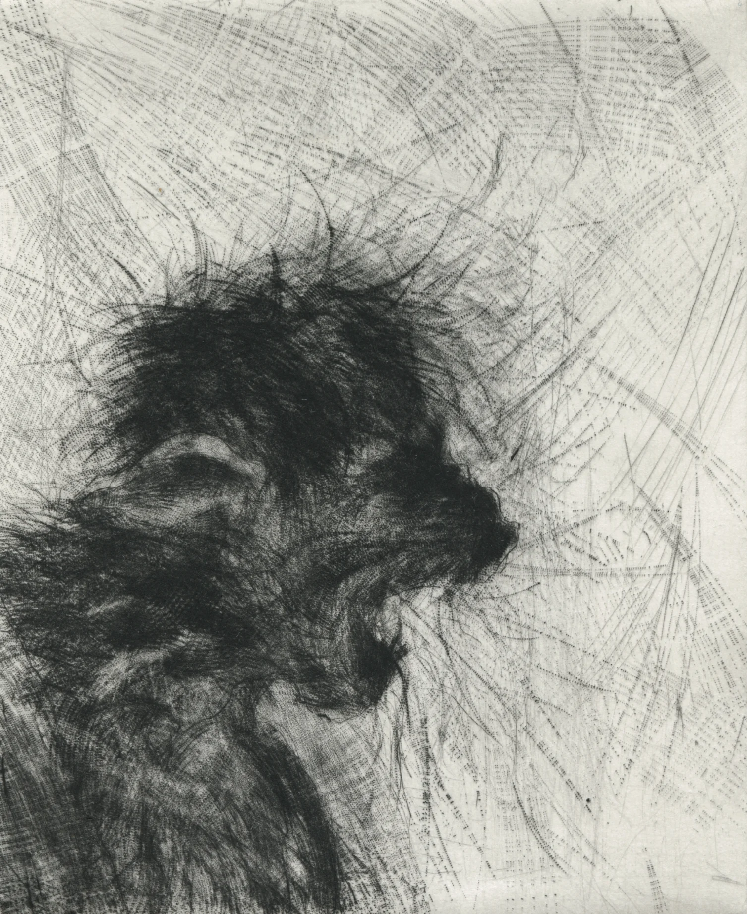 Transformation, by Danny Cabading