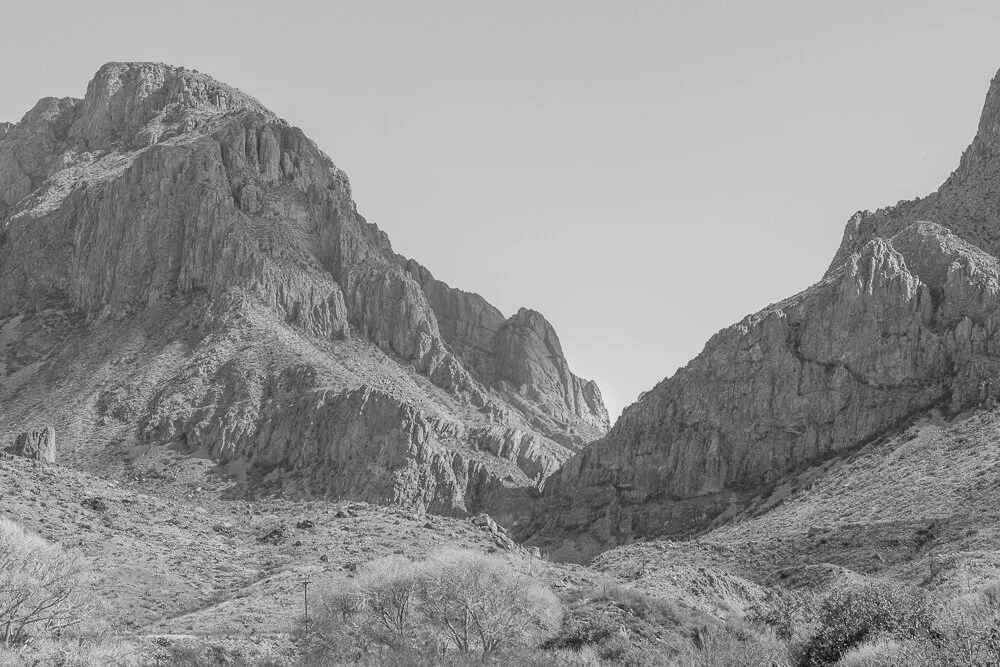 Last Words, by Holly Day