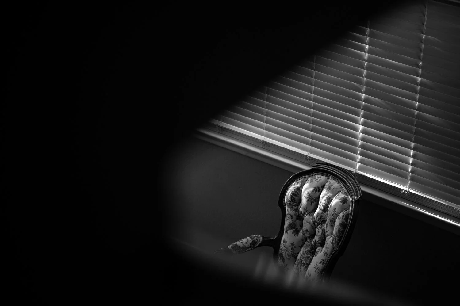 1, The Mutability of Identity, by Reba J