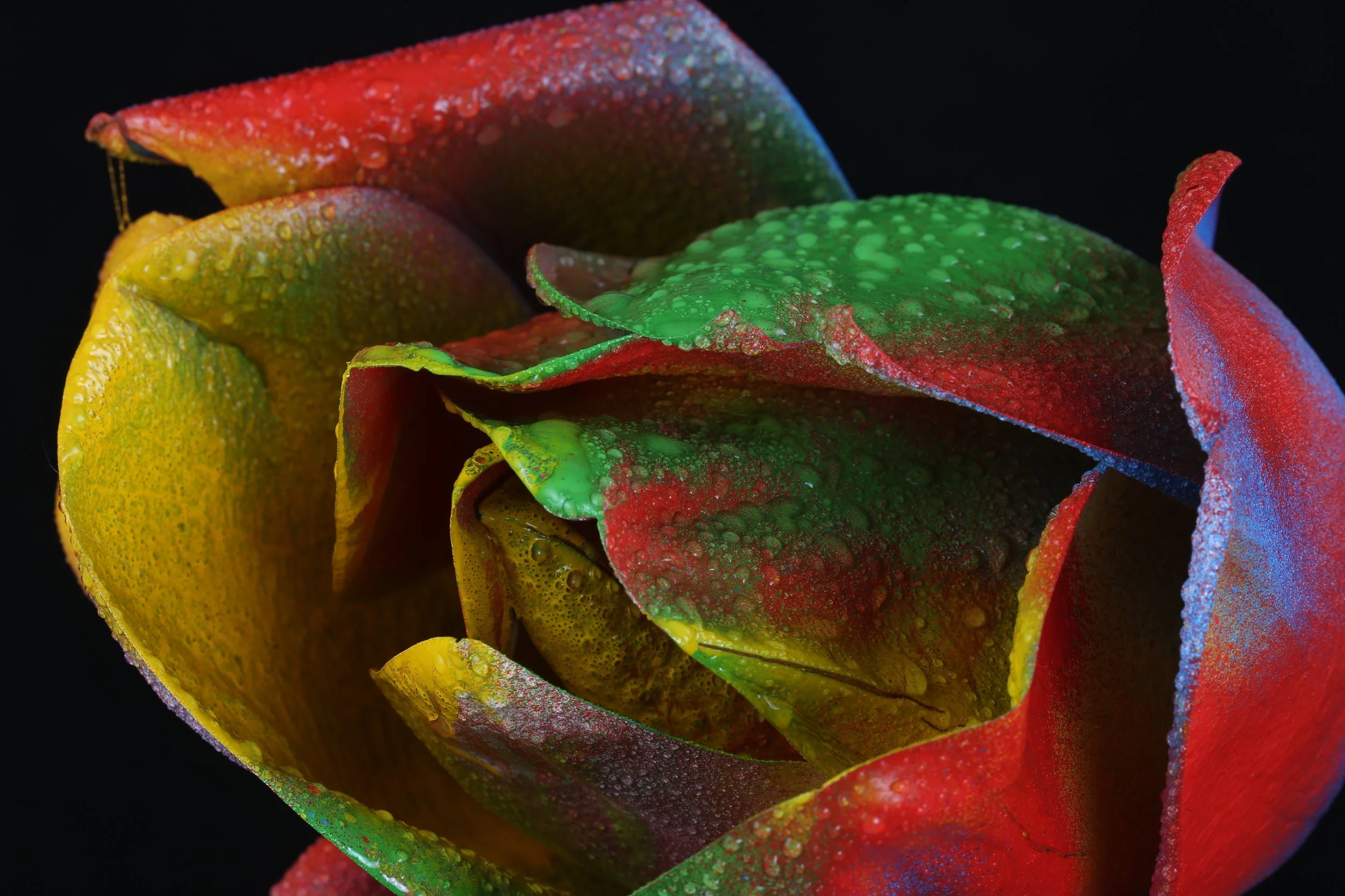 'Death in a Foreigner’s Tongue', by Isabella Melians