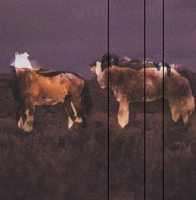 'The landfills if it never stopped raining?', by Stephen Rendon