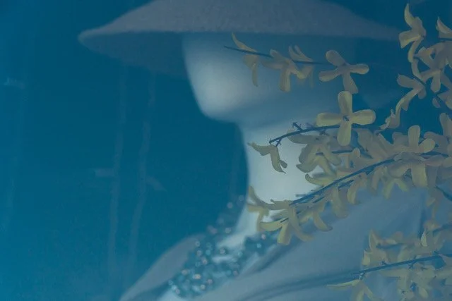 'Face it (A prosopagnosic love story)', by Paul Velleman